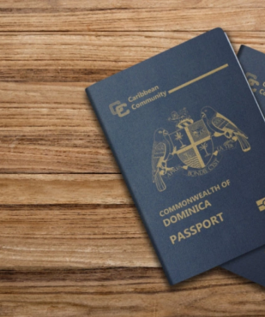 New Biometric passport